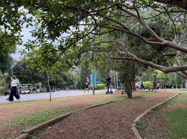 [紐約馬之行-68] 2025_1116 伊比拉布埃拉公園-中2955113