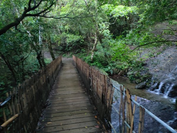 司馬庫斯神木群（西丘斯山、雪白山、東泰野寒山）2203598