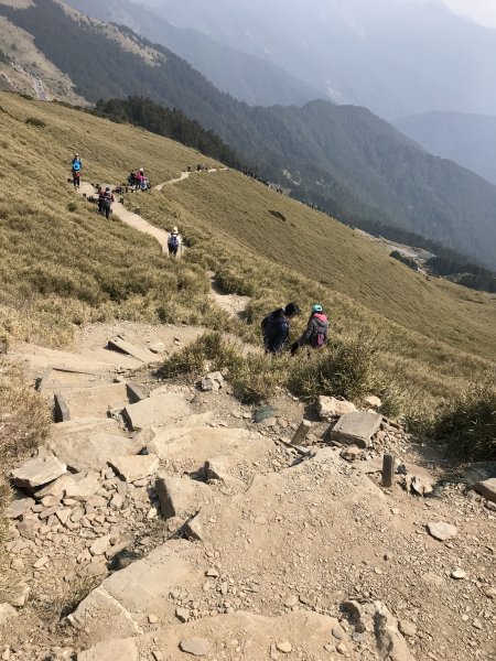 110年4月3日南投 合歡山東峰步道1433090