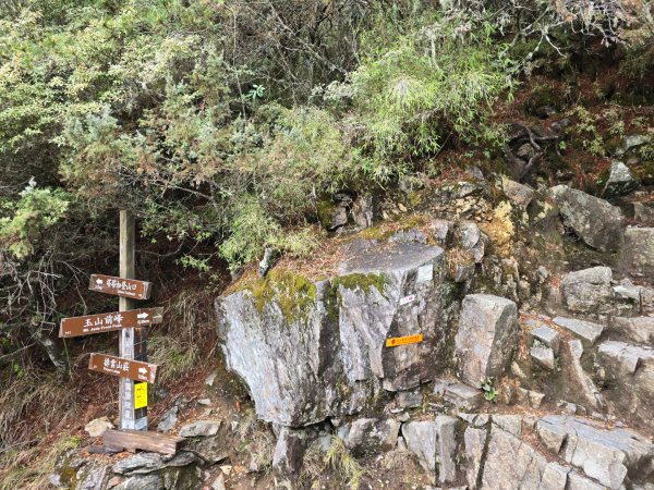 終於看到1000元背面的山景登頂玉山北峰／前峰2495837