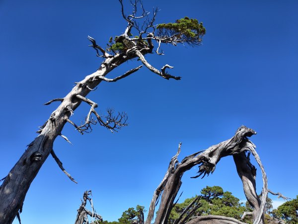 北一段(11/14)南湖北峰 2025_0906~132887314