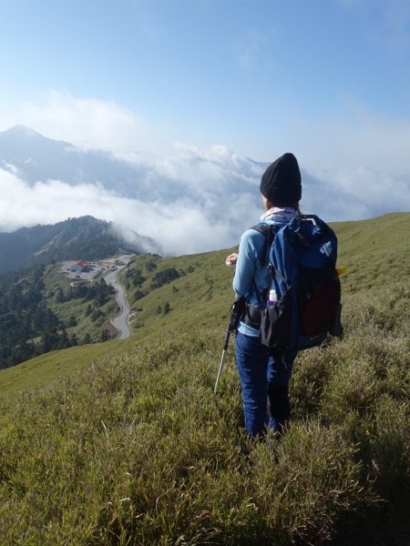 合歡山五座百岳賞杜鵑花587106