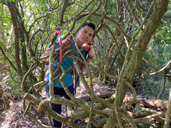 六龜美輪山【享受簡單純粹的登山樂趣】2415560