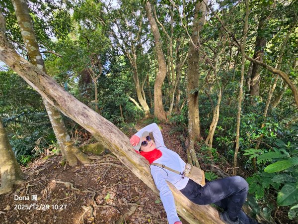 20251229石龜坑山上白石山下白石埤O走+阿姆坪2976669