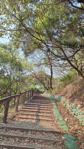 瑞井古道+竹坑山+竹坑南寮步道202603283045276