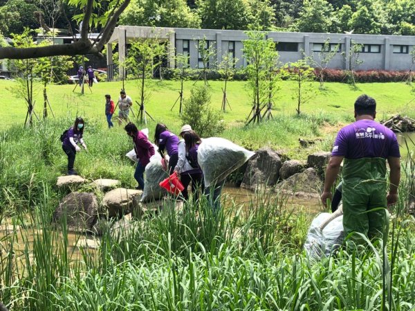 «棲地工作假期»永春陂生態園區棲地維護