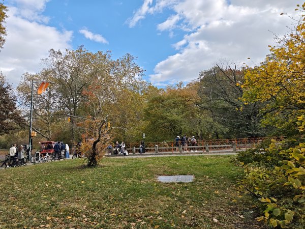 [紐約馬之行-11] 2025_1101 中央公園-畢士大露臺2945092