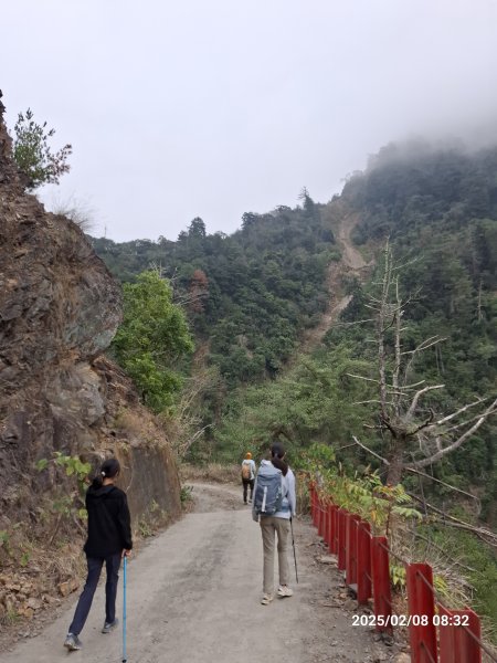 2025.02.08 限時秘境?菜市場? 北港溪峽谷步道2709004