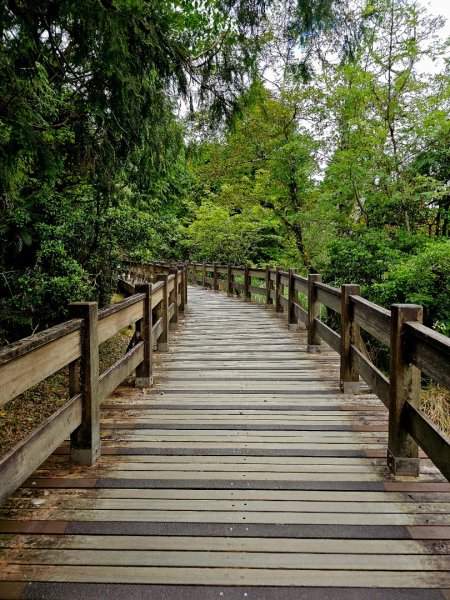 翠峰湖環山步道-(宜蘭)臺灣百大必訪步道2827546