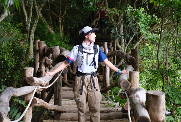 大坑四號步道_頭嵙山3079502
