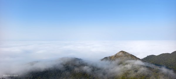 #大屯山 #雲海 3/223019614