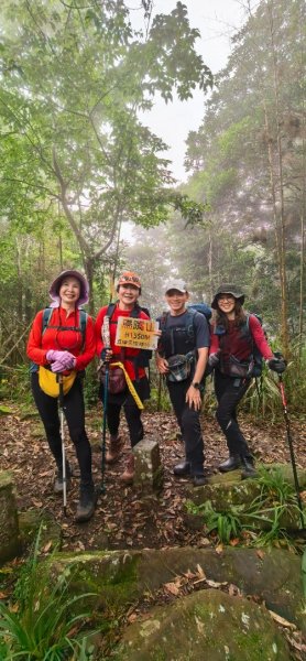 縱走大鳥鵝2828397