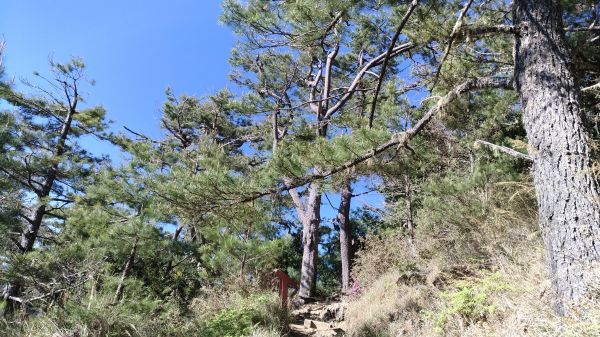 107.05.16雪山東峰一日行333827