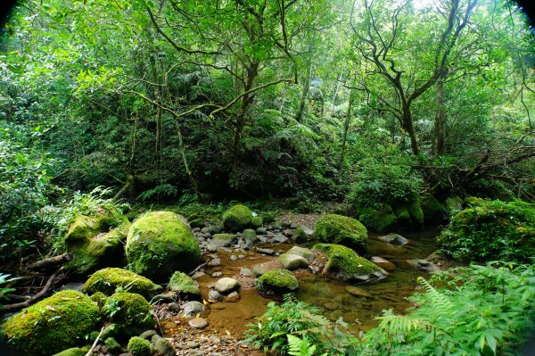 新北 平溪 石燭尖、九龍山、無名尖、中埔崙3099238
