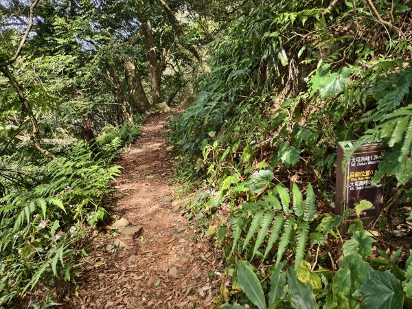 [百山百鳥尋旅-11/15] 2025_0927 大屯主峰-連峰步道_大屯山南峰2899396
