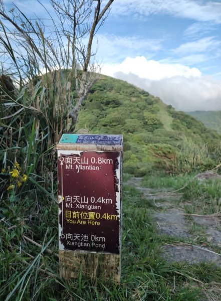 1131005向天山3098007
