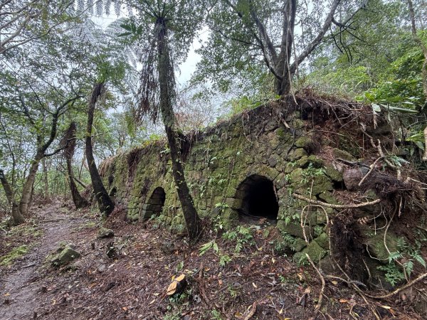 三林一后一紙及武山煤礦文化遺址8字行2991121