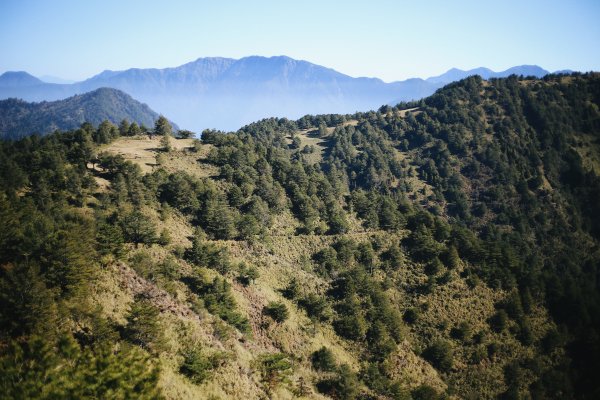 嘉義｜鹿林、麟趾山1038121