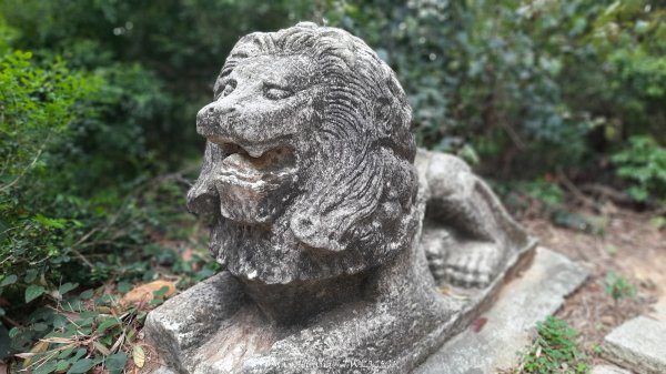 《苗栗》楓香林道｜頭份老崎古道（後花園步道）202503292748850