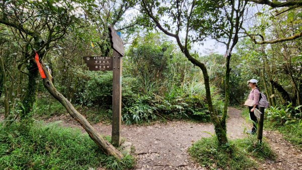 頂山，石梯嶺，竹篙山，雞心崙，五指山，梅花山，香對山，雙溪溝古道，風櫃嘴步道，土城明德山1923883