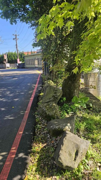 20260315玉皇宮-客官農場-崙子尾-青礐山-內寮山(騎車爬山)3016355