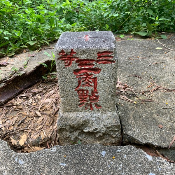 20250628高雄赤山2826272