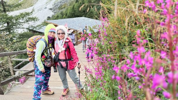 川藏33天深度之旅💙#稻城亞丁-來古冰川2901924