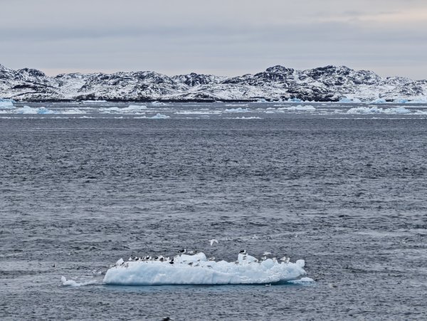 [紐約馬之行-27] 2025_1105 努克濱海木棧道(Nuuk Boardwalk)-下2947627