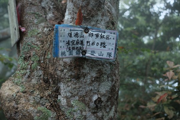 新竹尖石 | 那比尖煤O縱3045994