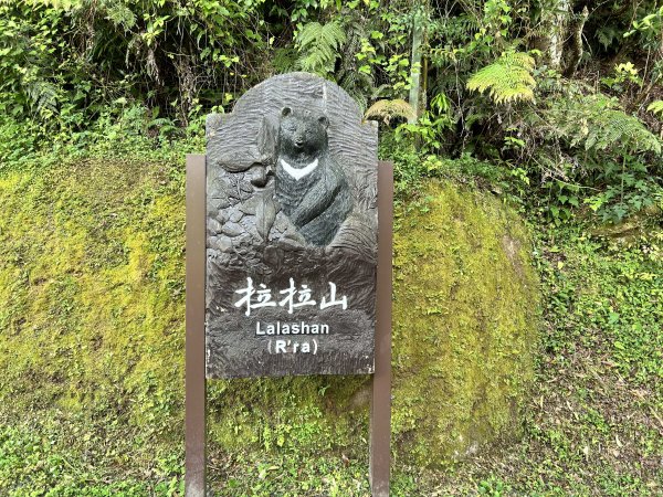 拉拉山神木群3044594