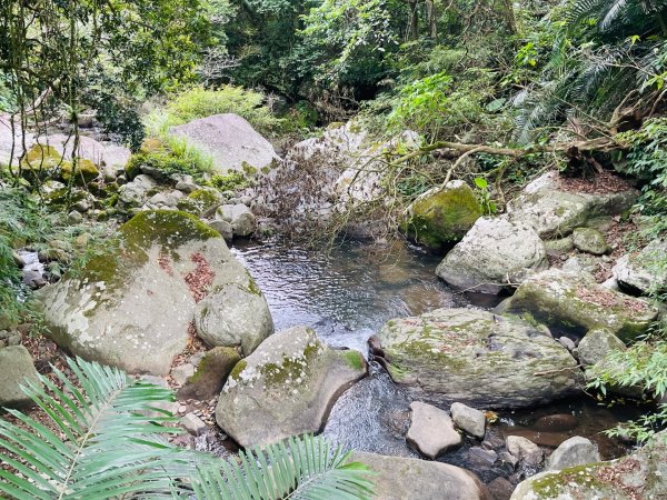 1140926坪頂古圳親山步道2895482