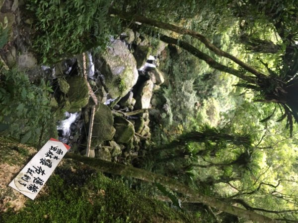 卡保山（一葉蘭、雲森瀑布2484065