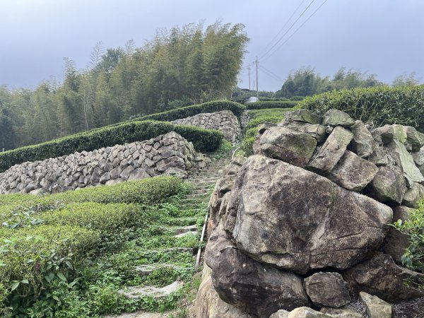 2023_0429_挑筍古道2138261