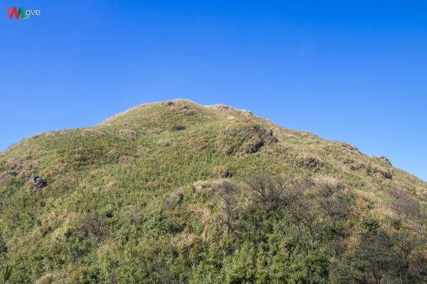 WL 愛旅行【凱達格蘭山】501102