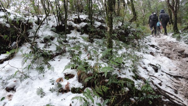 2021元旦瑞雪兆豐年內鳥嘴山追雪成功1222719