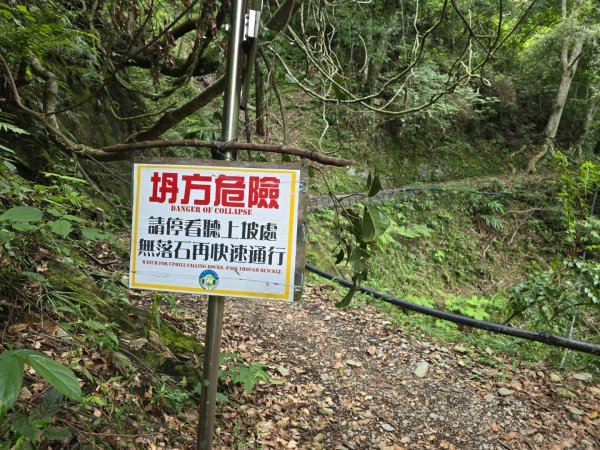 觀高山屋／龍貓公車／八通關山／八通關山西峰2927367