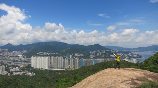 香港山系 － 九龍 • 新界934543