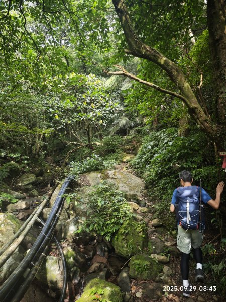 2025-0929 鹿堀坪古道2899424