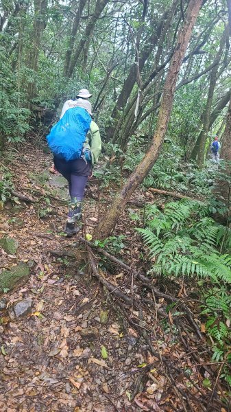 2025-01232淡蘭古道北二段(燦光寮古道到澳底)2696583