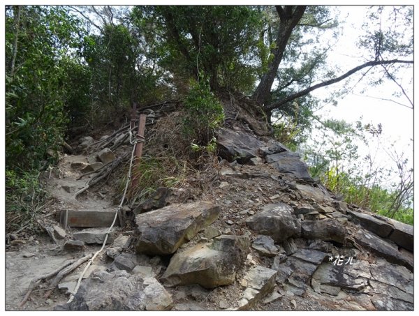 唐麻丹山/裡冷步道868356