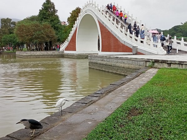 大湖公園《門庭若市》1903728