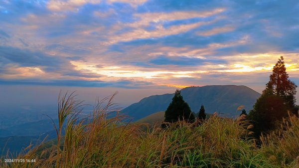 陽明山再見差強人意的 #雲瀑 #觀音圈 #霧虹 ？10/272653737