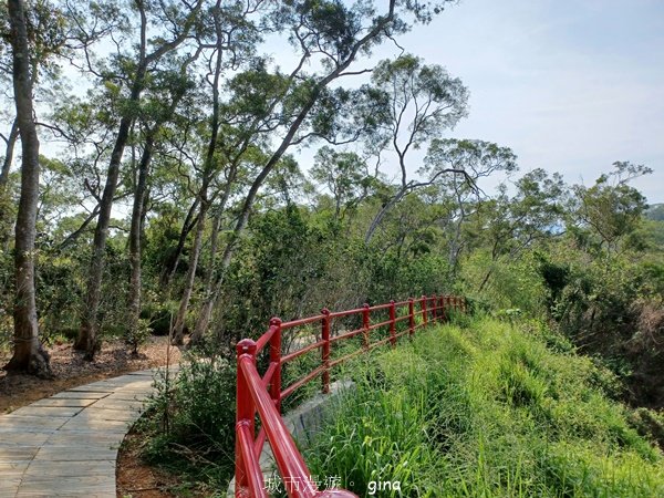 【苗栗造橋】適合親子悠閒踏青。劍潭古道2533437