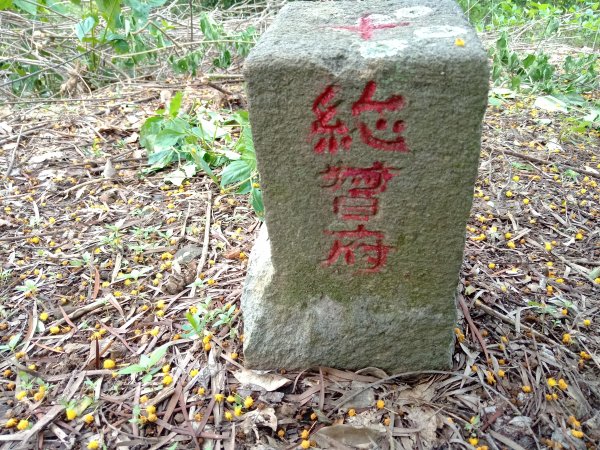 20210627台中太平小中坑山、大湖桶山、龜舌子山1532432