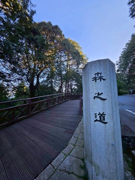 20260413🚂阿里山眠月線健走 姐妹潭 水山巨木療癒步道3036298