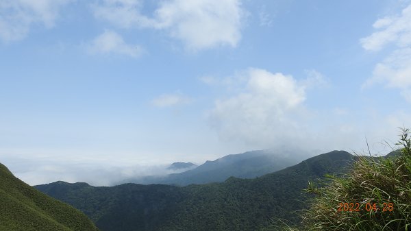 4/28陽明山再見雲海1691829