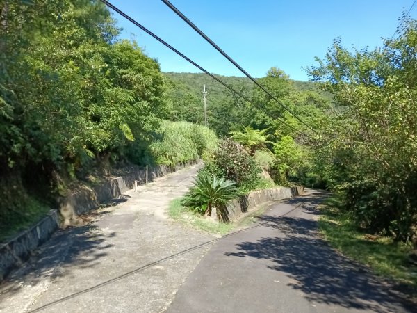 坪林區南闊瀨行(枋山坑古道+枋山坑崙+闊瀨越嶺保甲路O型)2916777