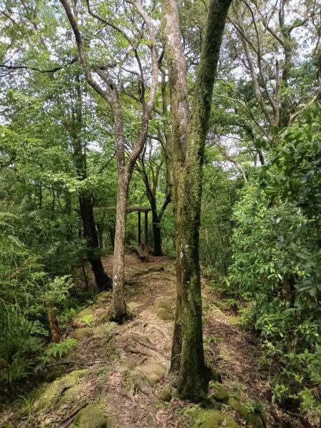 平溪區三功大厝+番子坑山+千階嶺步道O型2781191