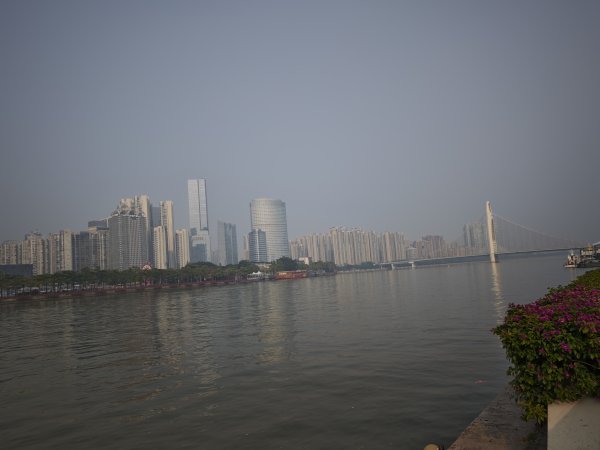 [茂名馬之行-03] 2026_0116 珠江畔-廣州摩天大樓2993989