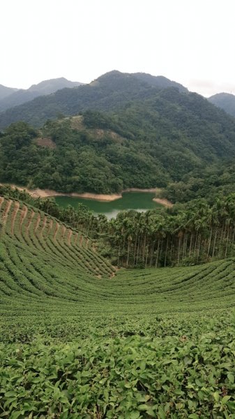 石碇鱷魚島-千島湖之旅715885